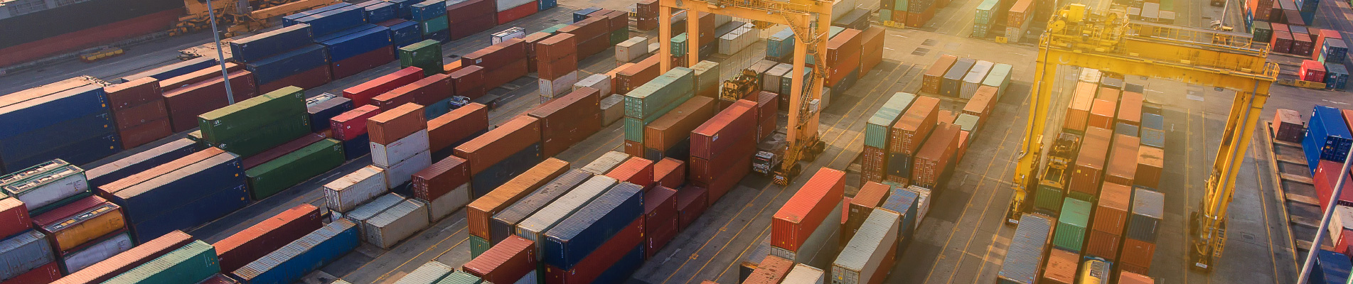 nvocc export